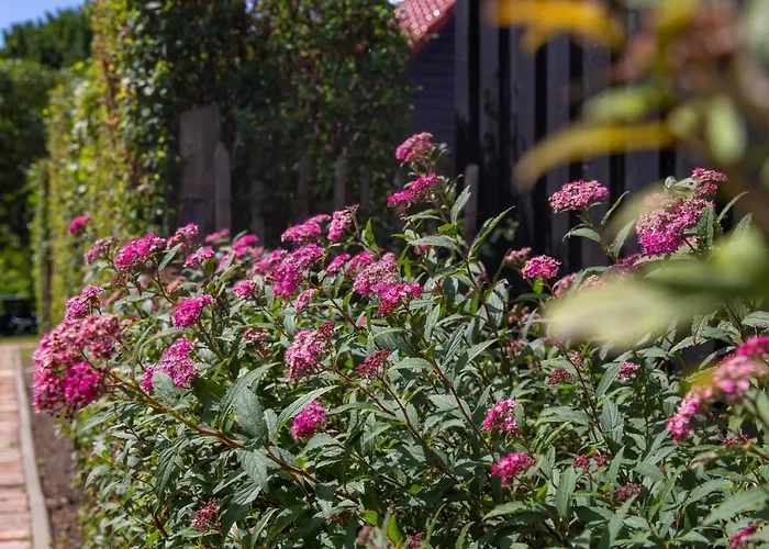 Sonnenwieck 02 Сasa de vacaciones