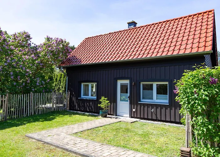 Sonnenwieck 02 * Wieck